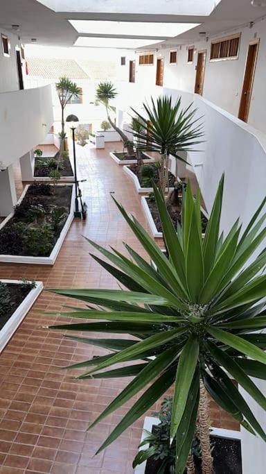 Ferienwohnung Modern,Strandnaehe, Club Olympus, Garten City Tenerife Playa Feñabe Exteriör bild